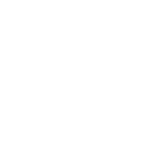 Logotype-blanc